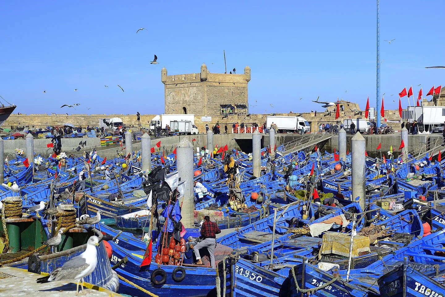 Эс сувейра марокко. Эс сувейра марокко. Эс сувейра марокко. Эс сувейра марокко. Марокко эль сувейра.