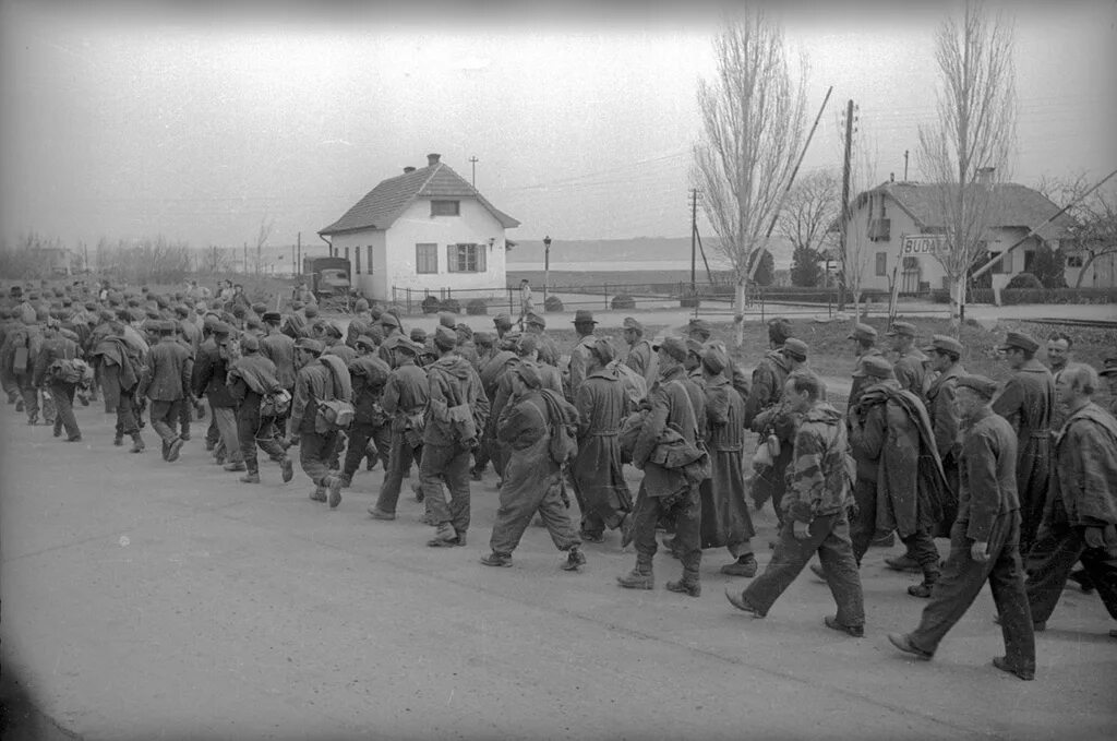 Венгерские военнопленные 1945. Пленные венгры. Венгерские военнопленные на Урале. Венгерские военнопленные