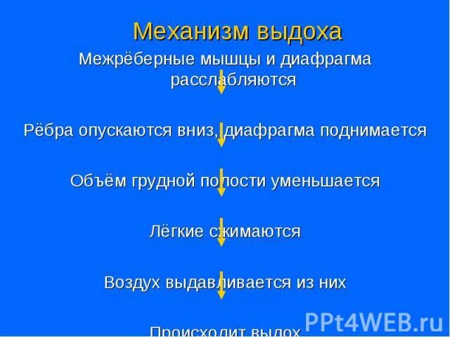 Диафрагма поднимается