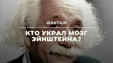 Мозги эйнштейна