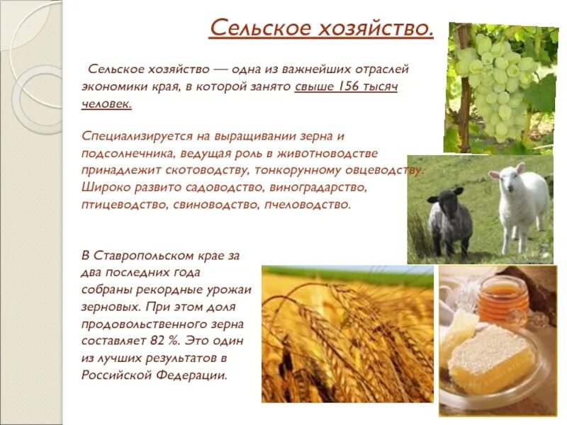 Экономика ставропольского края 3 класс проект окружающий