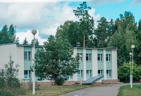 Сосновый бор ярославская область