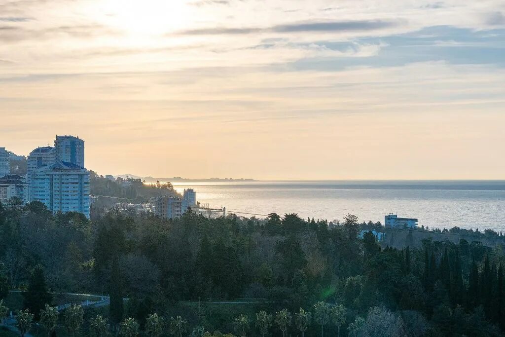 Рановский парк Сочи. Ranovsky Park отель Сочи. Рановский парк Сочи отель на депутатской. Рановский парк Манхэттен.