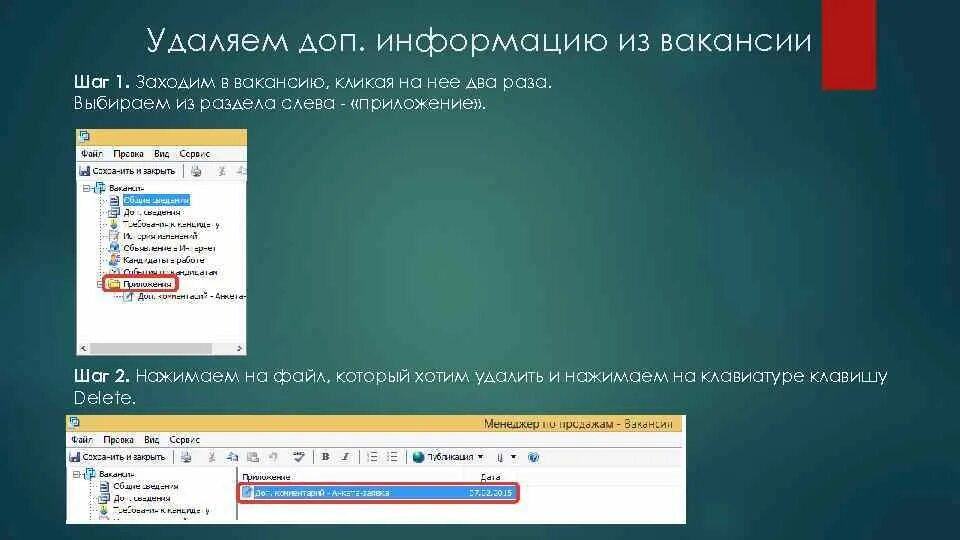 Дополнительная информация программы