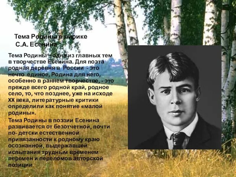 Тема Родины у Есенина. Стихи поэтов о родной деревне. Есенин тема Родины. Тема Родины в лирике Есенина. Как раскрывается тема родины в стихотворениях есенина