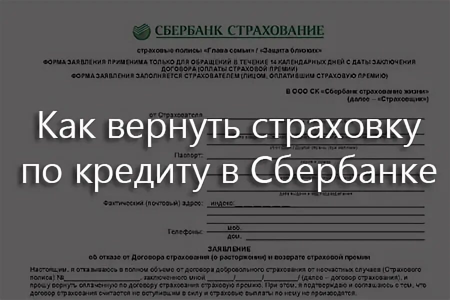 Страховка кредита в сбере. Возврат страховки Сбербанк. Как вернуть страховку по кредитной карте Сбербанка. Как вернуть страховку по кредиту в Сбербанке. Возврат страховки по кредитной карте Сбербанка.