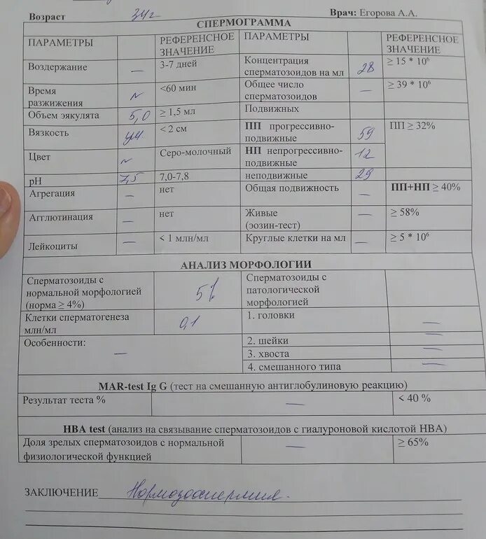 Днк спермограмма сдать. Спермограмма. анализ спермограммы. спермограмма анализ. спермограмма результаты.