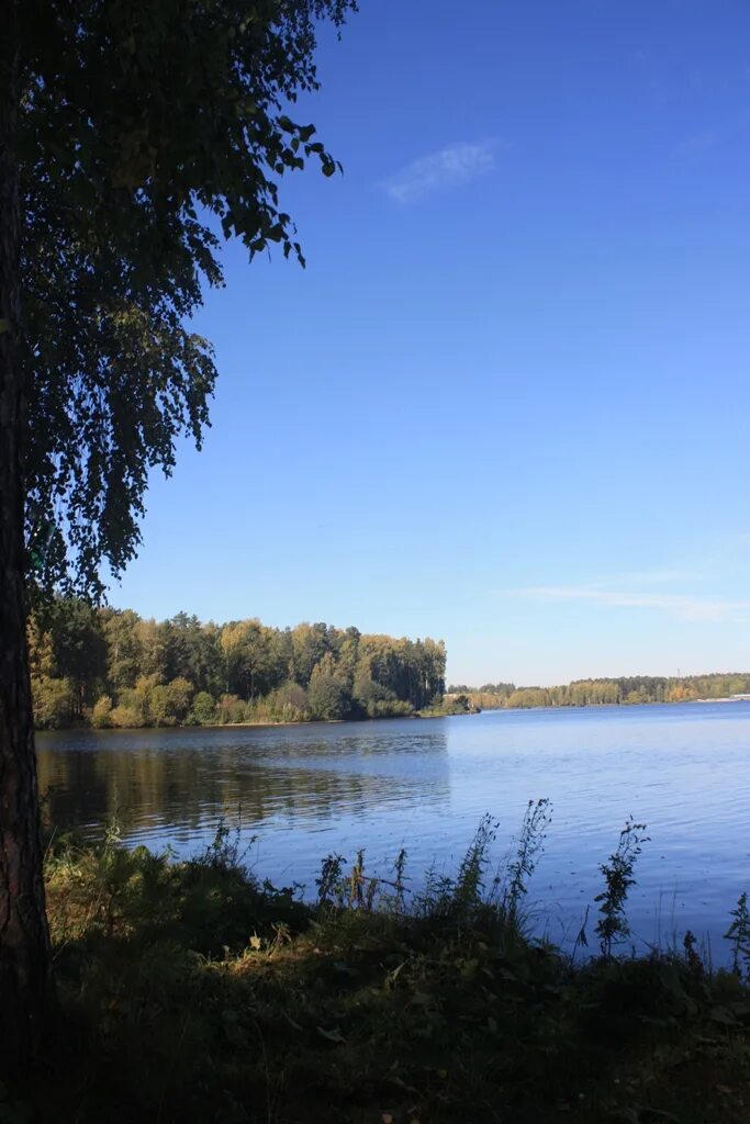 Рефтинский богданович. Озеро рефтинское свердловская. пляж рефтинское водохранилище. рефтинский пляж. рефтинская плотина.
