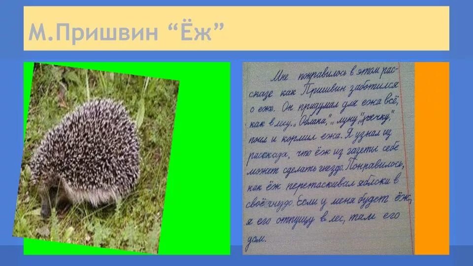 Ежик краткое содержание. Ежик пришвин. М пришвин еж читательский дневник. Пришвина еж читательский дневник.