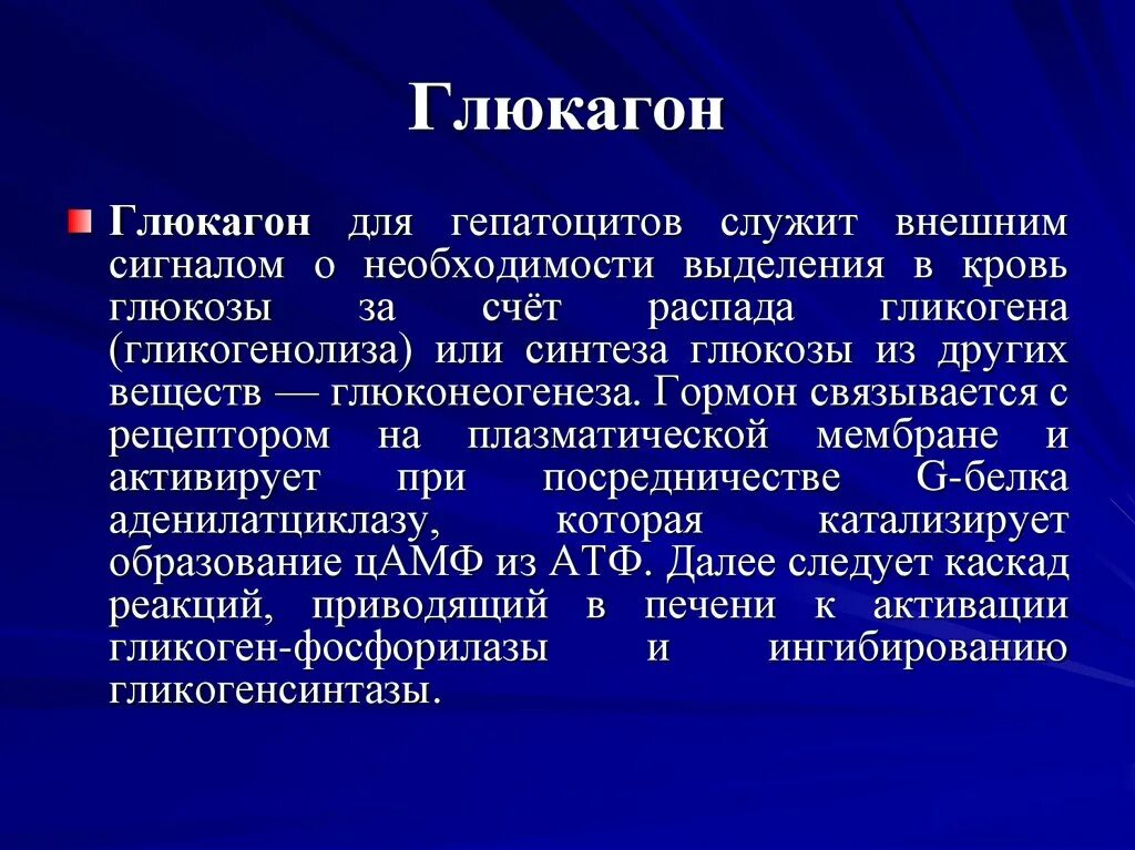 Глюкагон. Глюкагон функции. Глюкагон роль в организме. Глюкагон патологии.