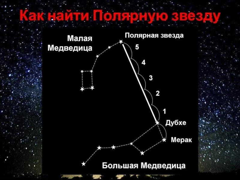 Какой тип характерен для медведицы. Большая Медведица малая Медведица и Полярная звезда. Как найти полярную звезду на небе. Большая и малая Медведица на небе с полярной звездой. Как от ковша найти полярную звезду.