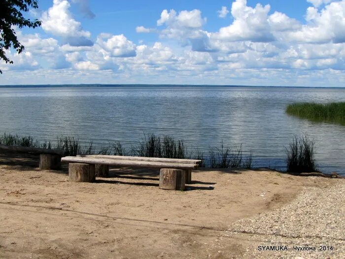 чухломское озеро в костромской области. чухломское озеро пляж. чухлома костромская область озеро. чухломское озеро солигалич. чухлома костромская область озеро.