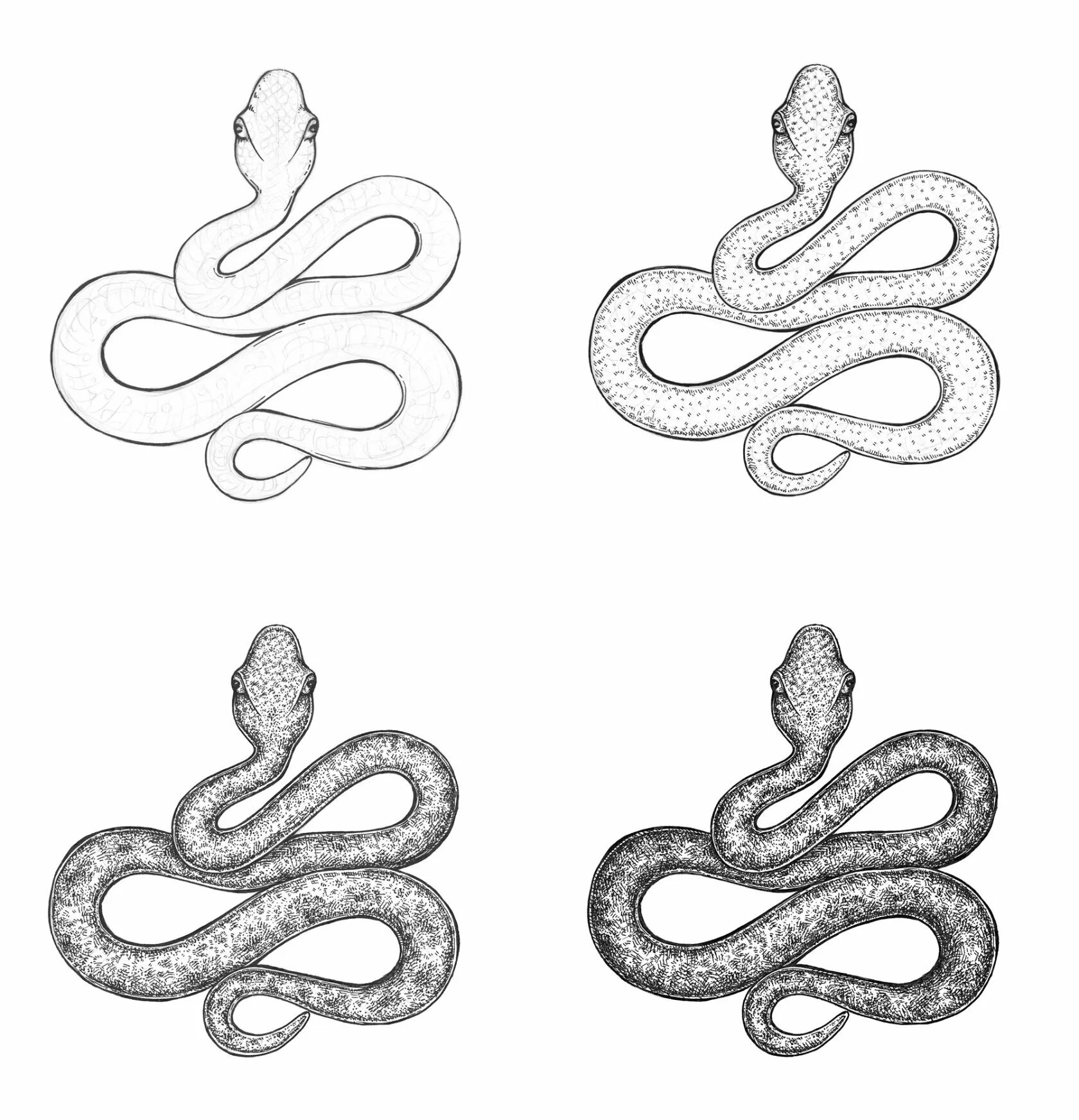 Змея карандашом. Рисунок змеи карандашом для срисовки. Змея карандашом для срисовки. Как нарисовать змею.