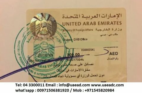 T me حسابات عشوائيه объединенные арабские эмираты