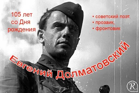 Долматовский котик