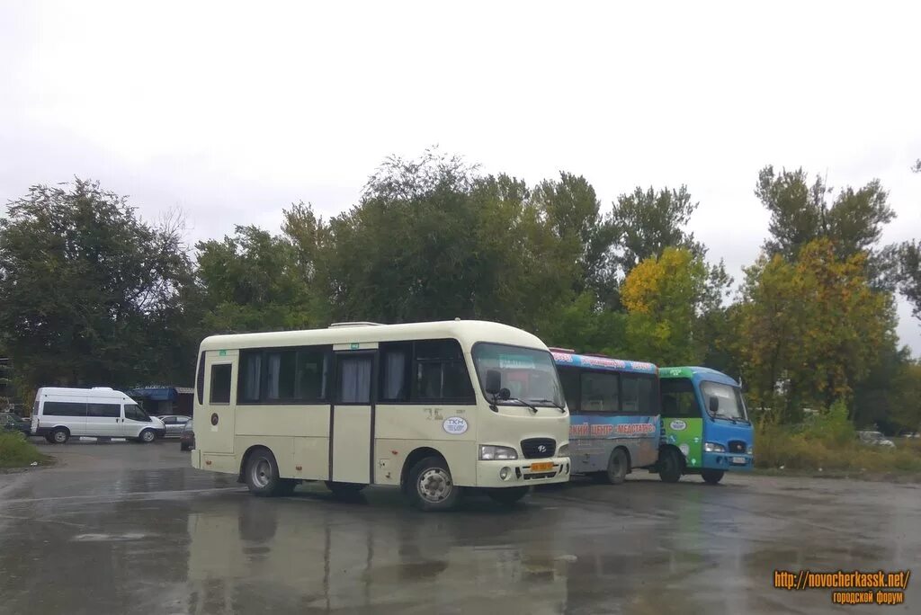 Автобус новочеркасск ростов главный. Заказной автобус. Автобусный парк в Новочеркасске. Автобусы ТК Новочеркасск. Маршрут 325 Новочеркасска автобус.