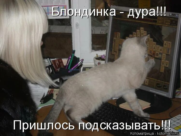 Афоризмыя не стервп это нервы. Доброе утро автоледи. Я не стерва, это нервы цитаты и высказывания. Гламурная блондинка. Планы на выходные статус.