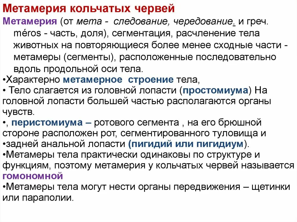 Метамерное строение тела. Сегментация тела кольчатых червей. метамерия. эффект метамерии. метамерность кольчатых червей.