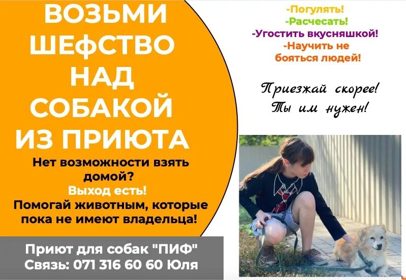 Донецке приют для животных. Приют пиф донецк. Приют пиф донецк. Пиф донецк. Приют пиф фото.