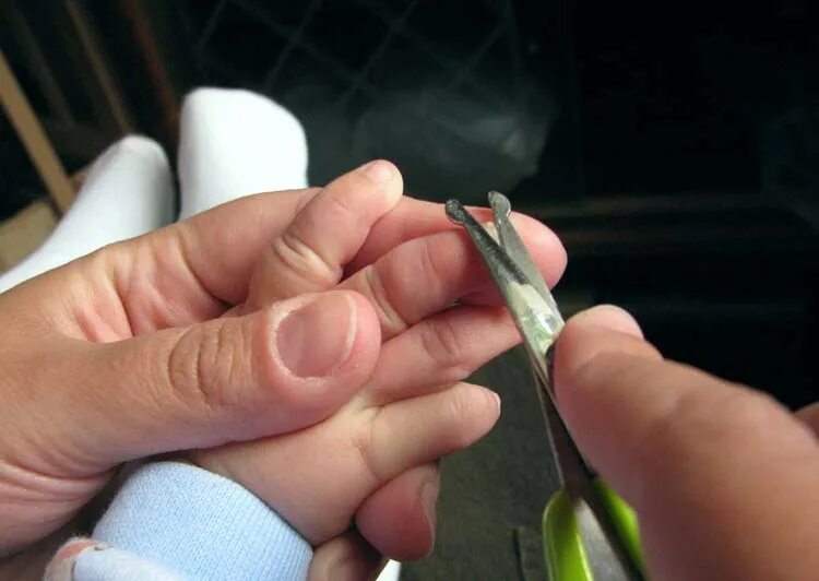 Как подстричь ноготь на пальце. Подстричь ногти новорожденному. Стрижка ногтей на руках. Как стричь ногти. Правильно подстричь ногти новорожденному.