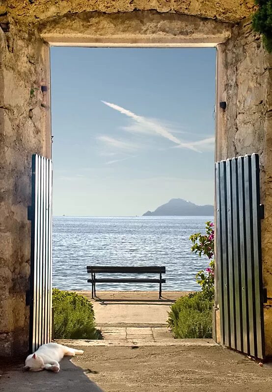 Картина двери открыты. Дверь в лето. Открытая дверь. Дверь с видом на море. Окно с видом на природу.