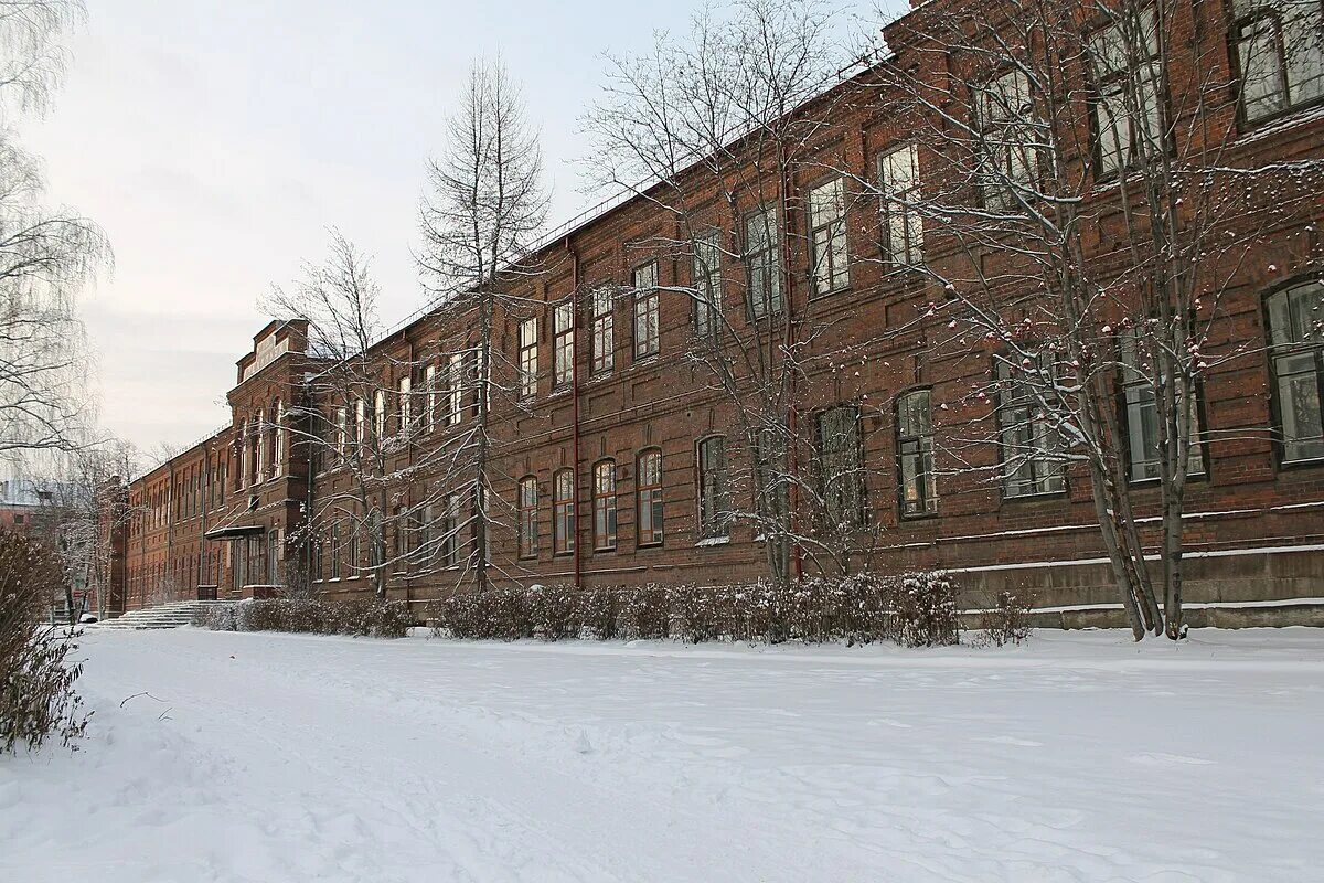 Сайт горного нижний тагил. Горно-металлургический колледж Нижний Тагил. Горный техникум Нижний Тагил. Колледж имени Черепановых Нижний Тагил НТГМК. Демидовский колледж Нижний Тагил.