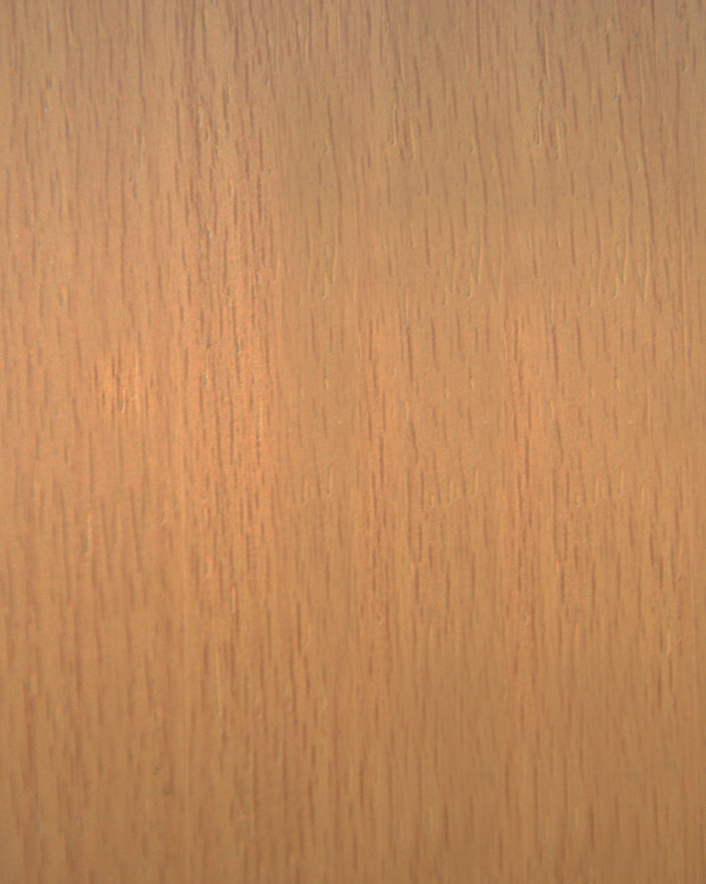 кромка ,04мм. мебельный щит бук цельноламельный. 1582 бук эльмау. кромка ламинированная бук бавария. бук бавария темный текстура.