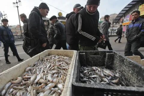 Когда начнут продавать корюшку в спб 2024