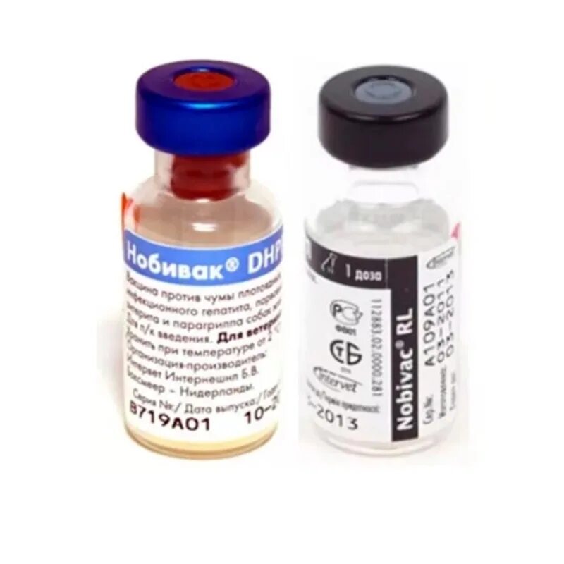 Вакцина для прививки собак. Вакцина Нобивак DHPPI + L, комплект. Вакцина для сб Нобивак. Нобивак DHPPI RL для собак. Нобивак 2022.