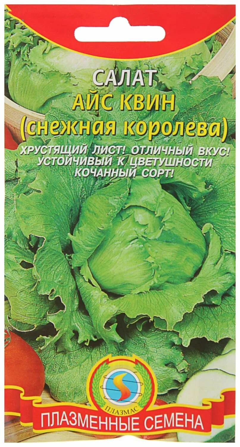 Айс салат. Салат кочанный айс Квин. Салат кочанный Снежная Королева. Семена салат Снежная Королева Айсберг. Салат Снежная Королева (айс Квин).