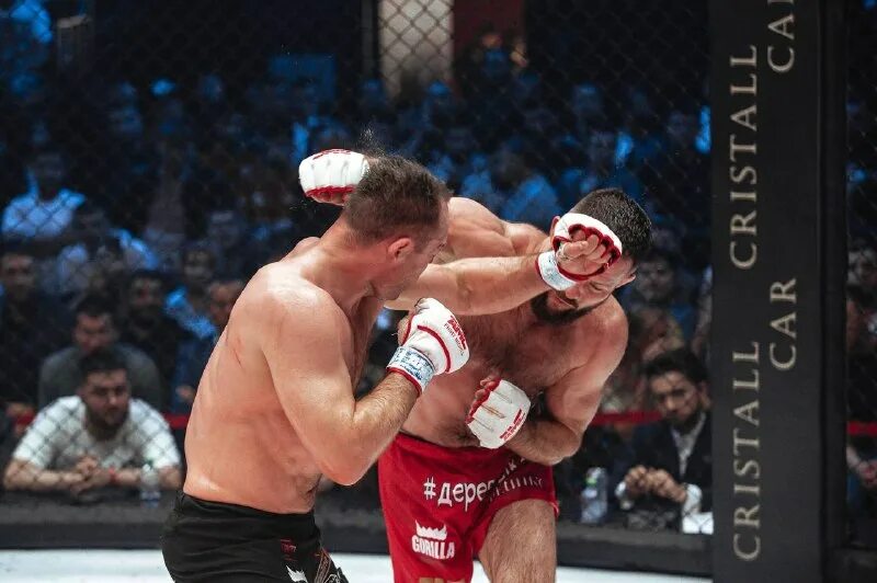 Amc fight nights 100 кард. Амир fight nights. Амс файт найт 123. Amc fight nights. Amc fight nights.