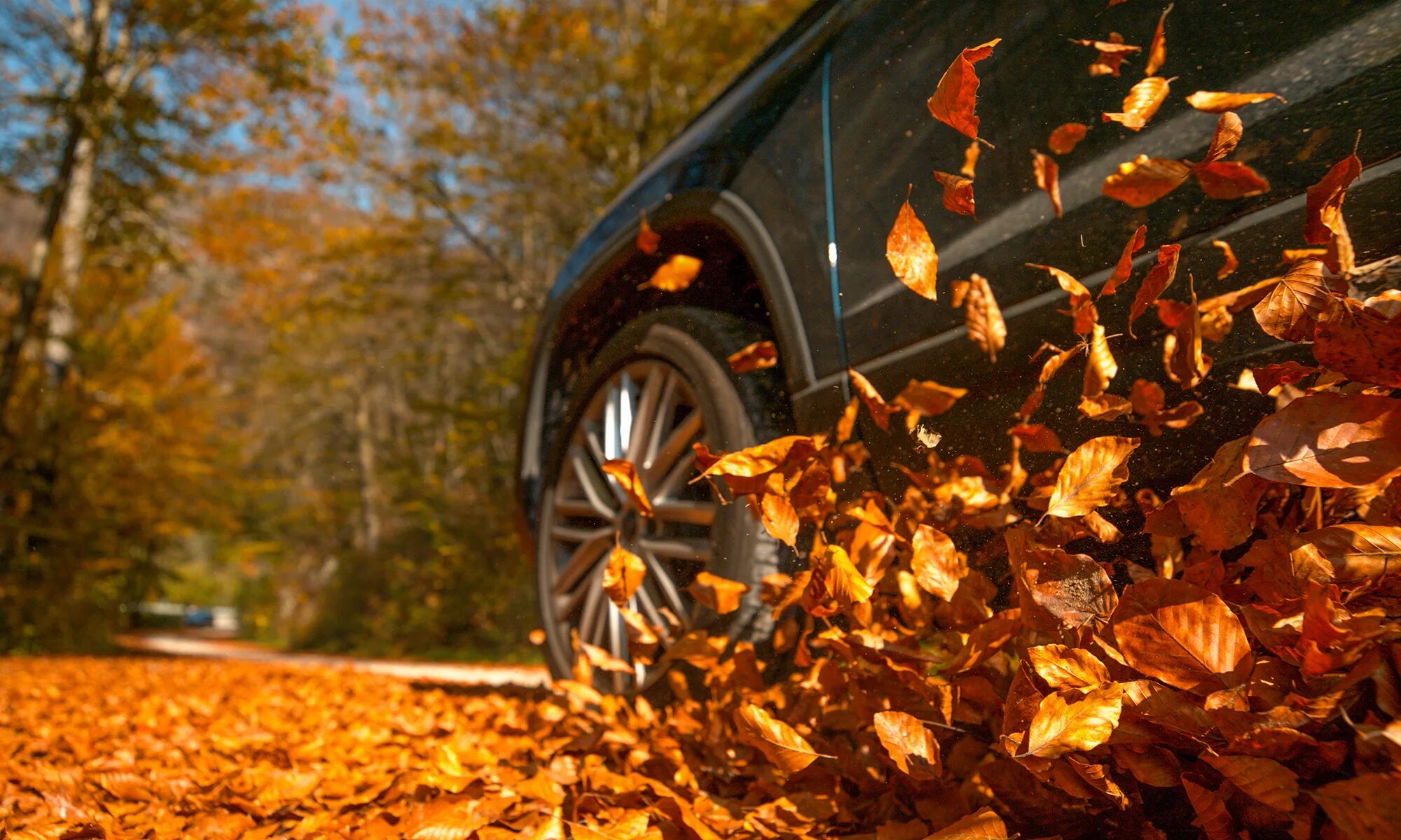 Fall cars. Fall cars. Fall cars. Fall cars. Fall cars.