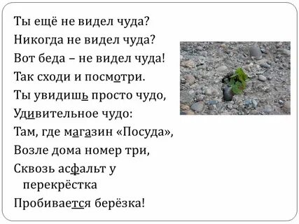 Не увидим ни