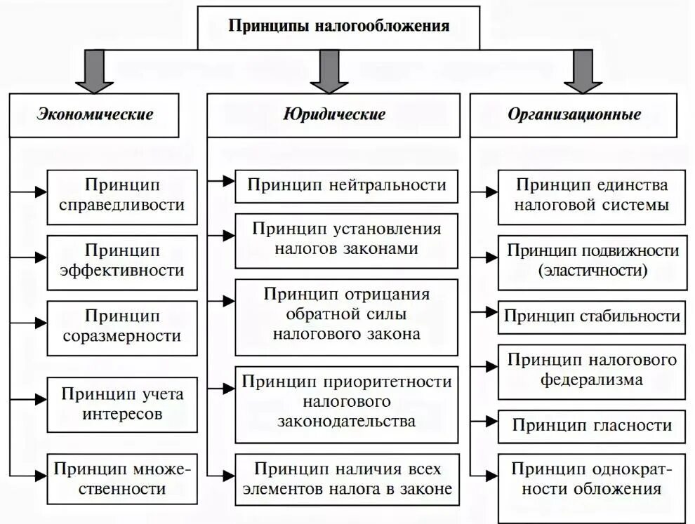 Основные группы налогов. Схема основные принципы налогообложения. Фундаментальные принципы налогообложения. Классификация основополагающих принципов налогообложения. Современная система российских принципов налогообложения таблица.