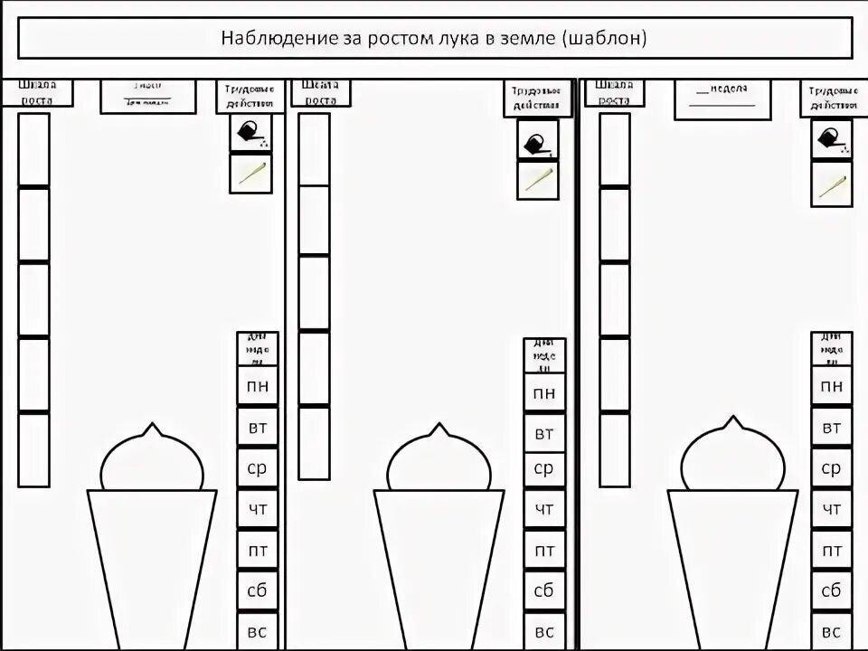 Дневник наблюдений за луком в детском саду. Схема наблюдения.