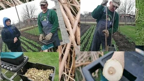 Куда девать ветки после обрезки деревьев