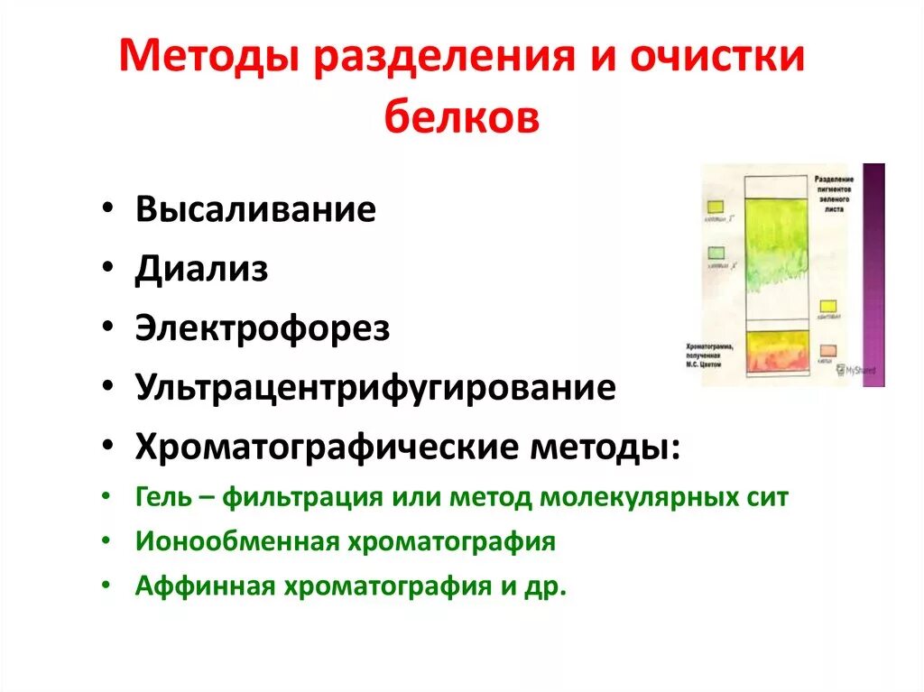 Этапы выделения белков. Методы разделения белков плазмы крови. Методы разделения смеси белков. 3. Методы разделения белков плазмы крови. Методы разделения белков на фракции биохимия.