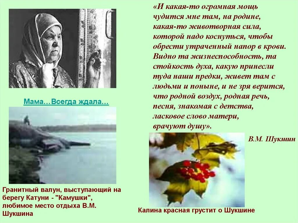 Текст мне многого не надо коснуться только. Стихотворения Шукшина Василия. Презентация Василия Шукшина..