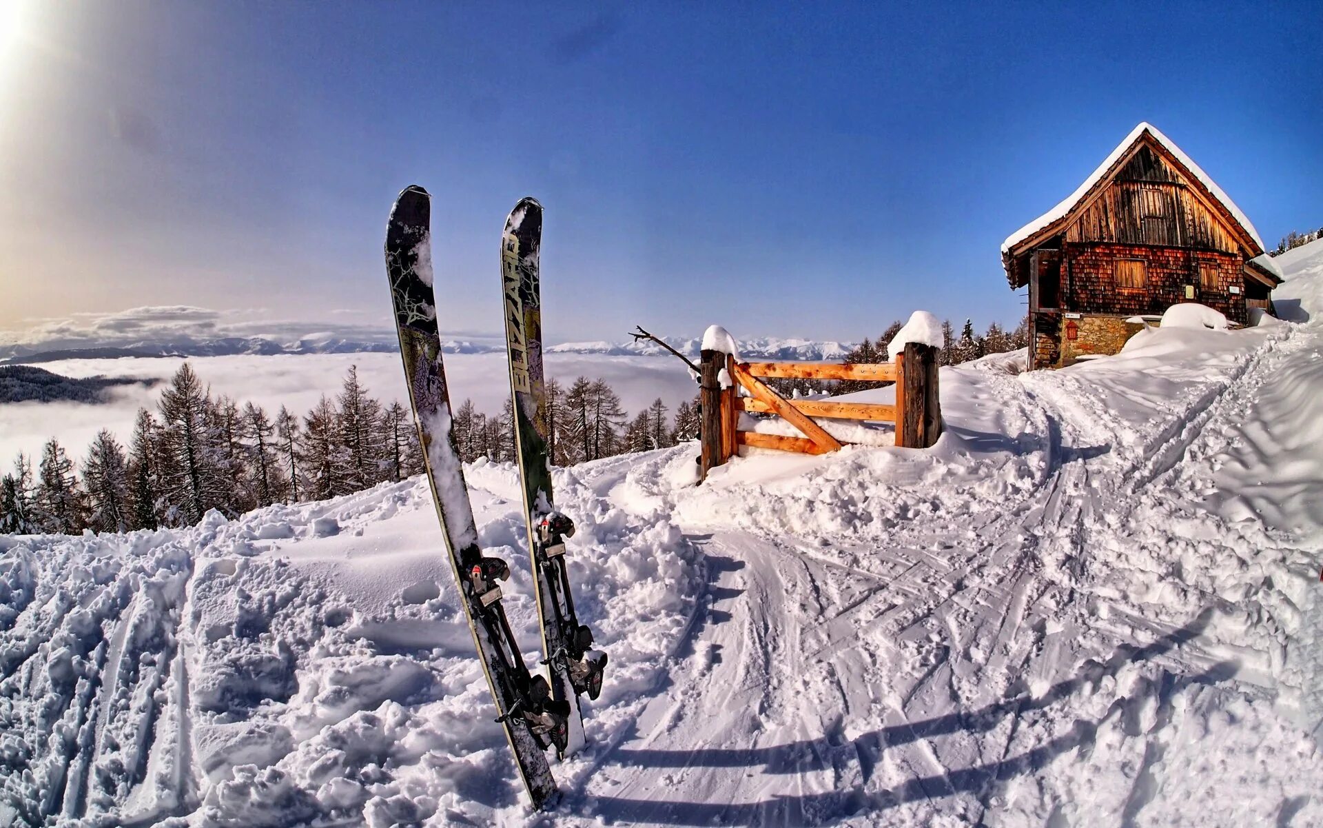 Лыжи в снегу. Карпаты куршавель. красная поляна ski house. горные лыжи румыния. горы лыжи.