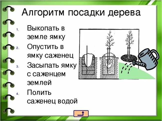 Предлагать способ пересадки деревьев. Алгоритм посадки дерева. Линейный алгоритм посадки дерева. Алгоритм посадки дерева по информатике. Алгоритм посади дерево.