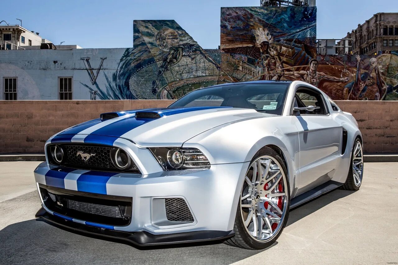 Форд Мустанг Шелби 2015. Ford Mustang Shelby gt500 2015. Ford Mustang Shelby gt500 серебристый. Ford Mustang Shelby gt500 2014. Жажда скорости машины