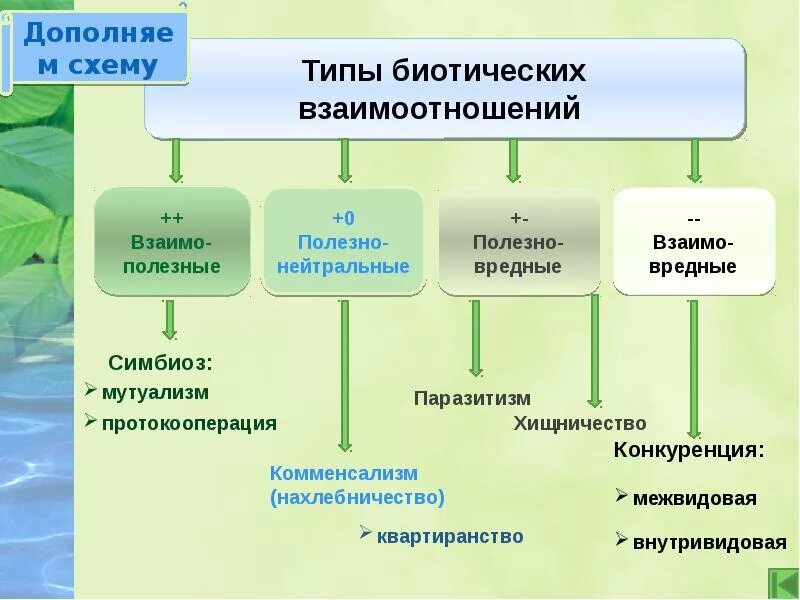 Какие отношения складываются между организмами. Межвидовые отношения организмов в экосистеме схема. Типы взаимодействия в экосистеме. Межвидовые взаимоотношения. Формы взаимодействия организмов в экосистемах.