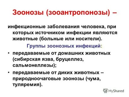 К контактным инфекциям относятся