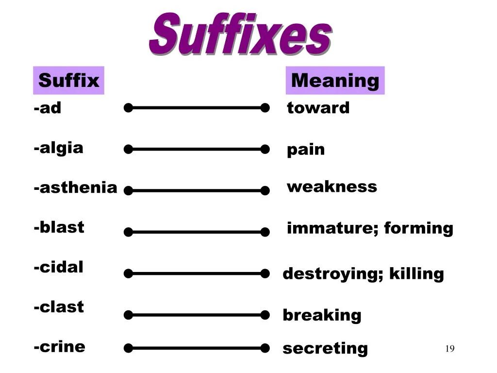 Suffix like. Suffix. meaning of suffixes. suffixes сн. english suffixes meaning.