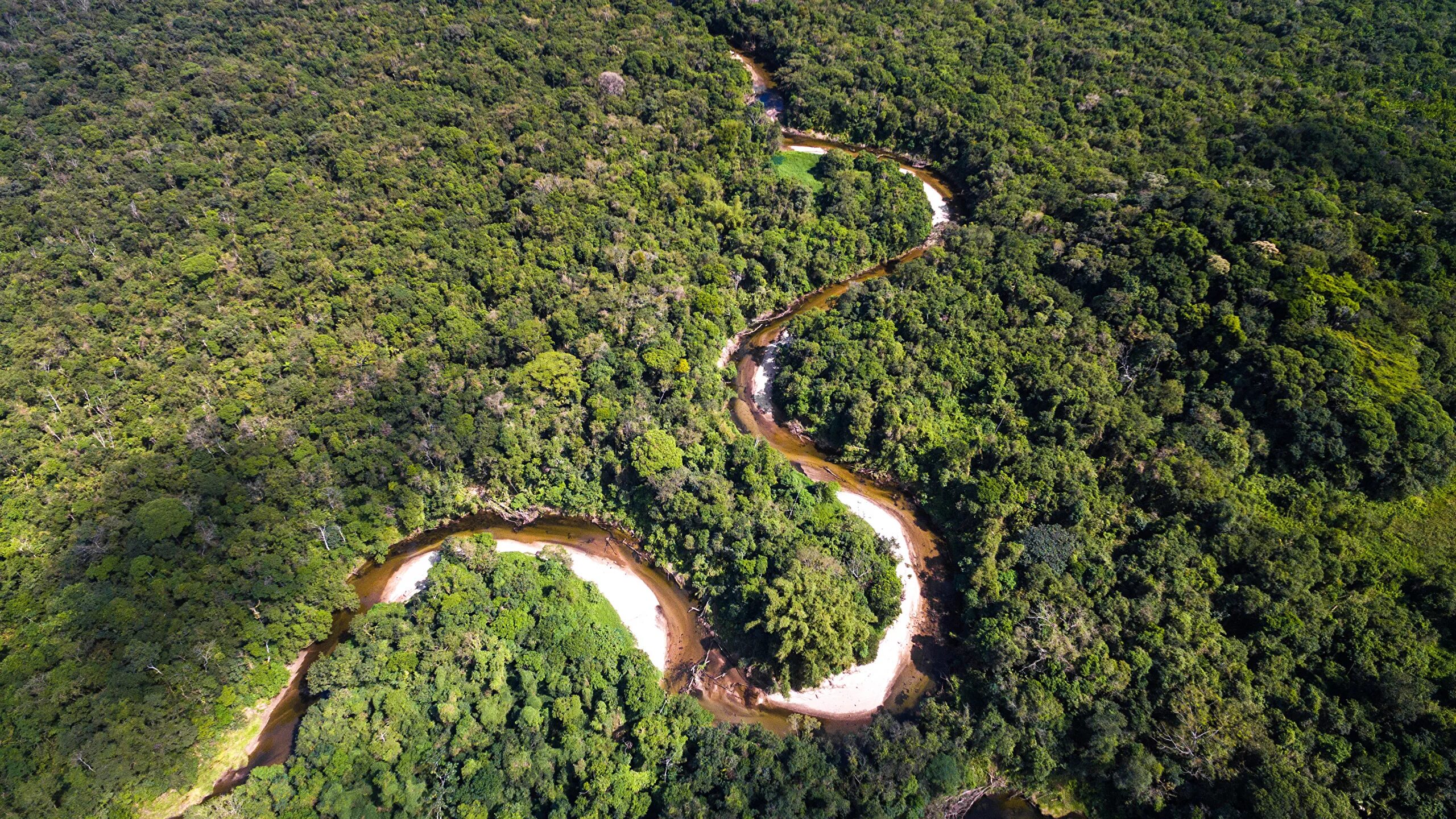 Amazon borneo congo. Бразилия Амазонка. Тропические леса Бразилии. Сельва Бразилии. Бразилия джунгли амазонки.