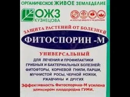 Фитоспорин перед посадкой в теплице