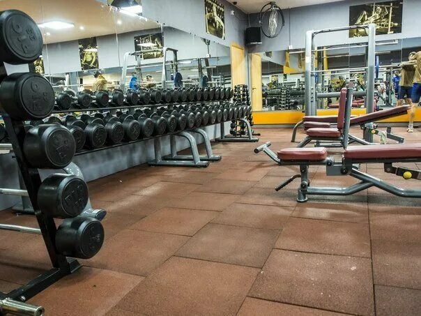 годовой абонемент колизей. колизей абонемент. колизей красноярск взлетка плаза. колизей абонемент. колизей тренажерный зал красноярск.