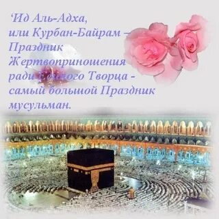 Лучшие пожелания мусульманину