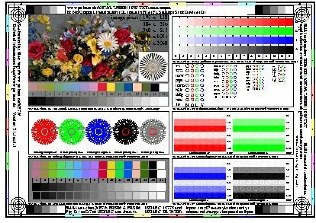 Тестовый лист для принтера Canon. Тест печати струйного принтера Canon. Тест для печати струйного принтера Epson. Тестовое изображение для печати. Пример печати принтера