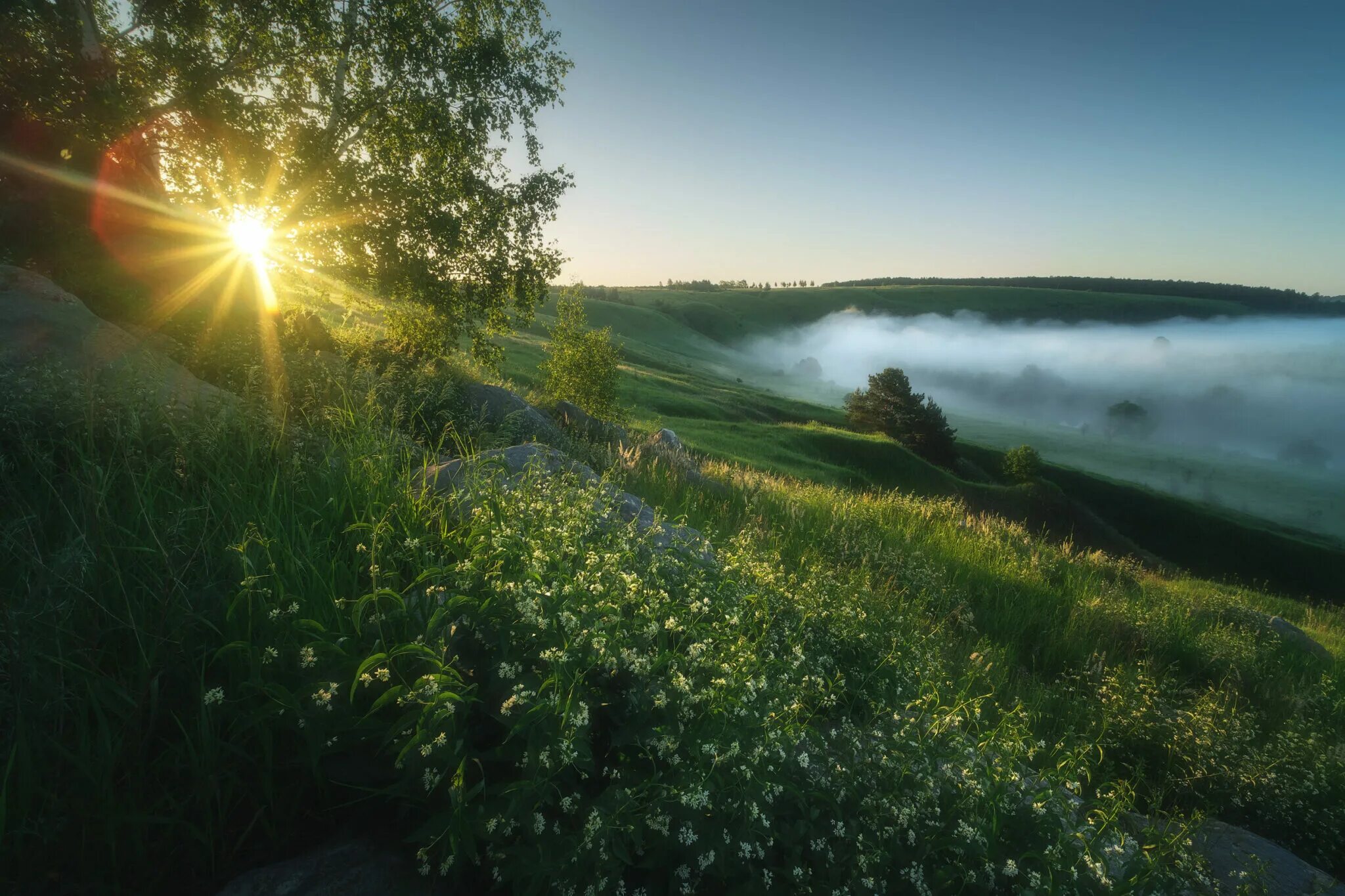 Русская природа евтушенко тема. Летний пейзаж. Красивый рассвет. Утренняя природа. Летнее утро.